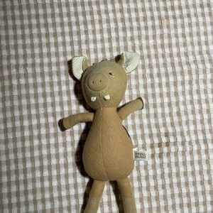 2012 Augustus boar some sun discoloration on legs but in great condition